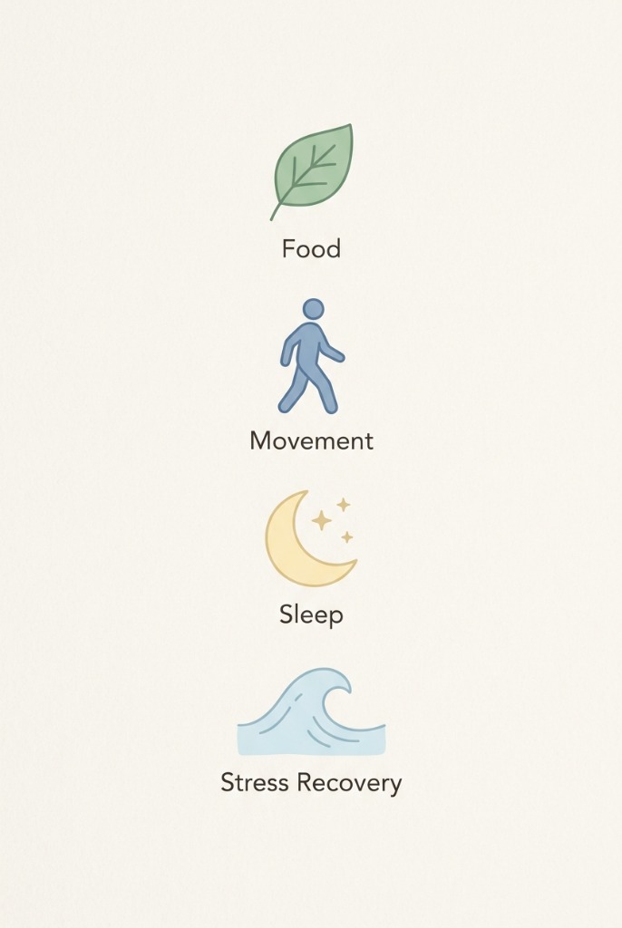 four areas of a sustainable healthy lifestyle