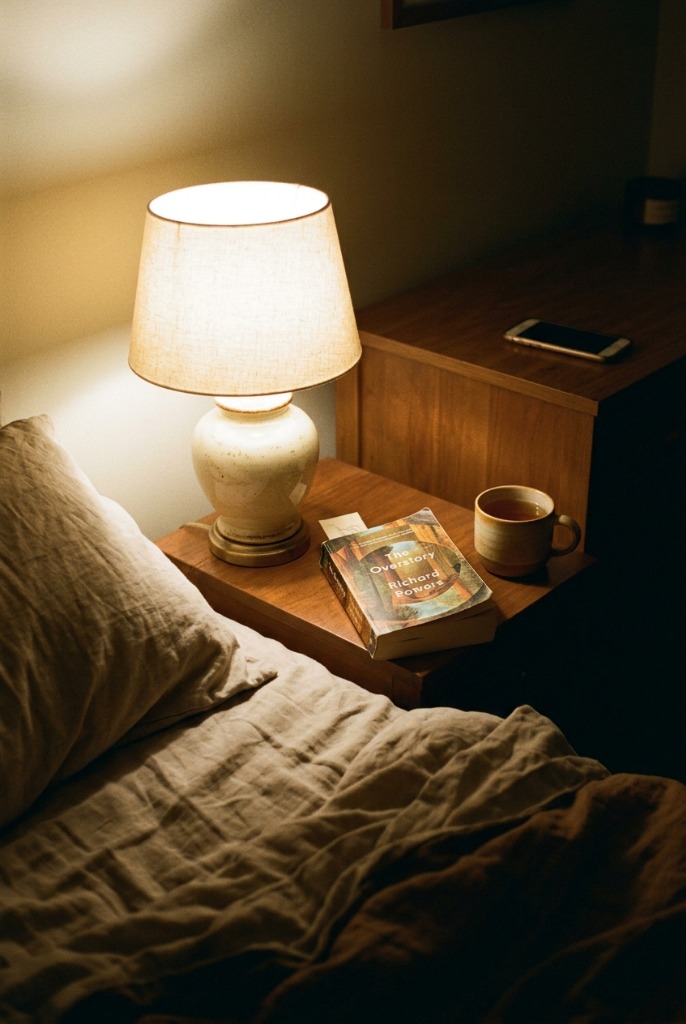 evening wind-down routine supporting healthy sleep habits