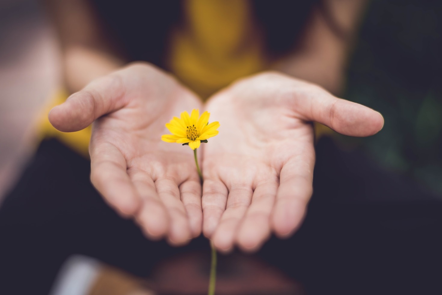 10 Journaling Prompts to Inspire Self-Reflection
