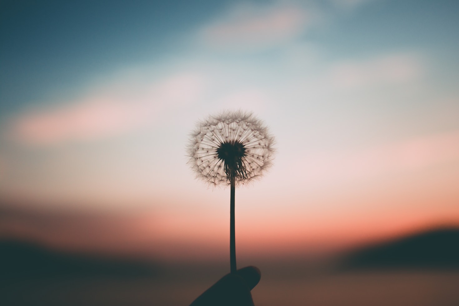 Mindful Living Tips for Everyday Peace